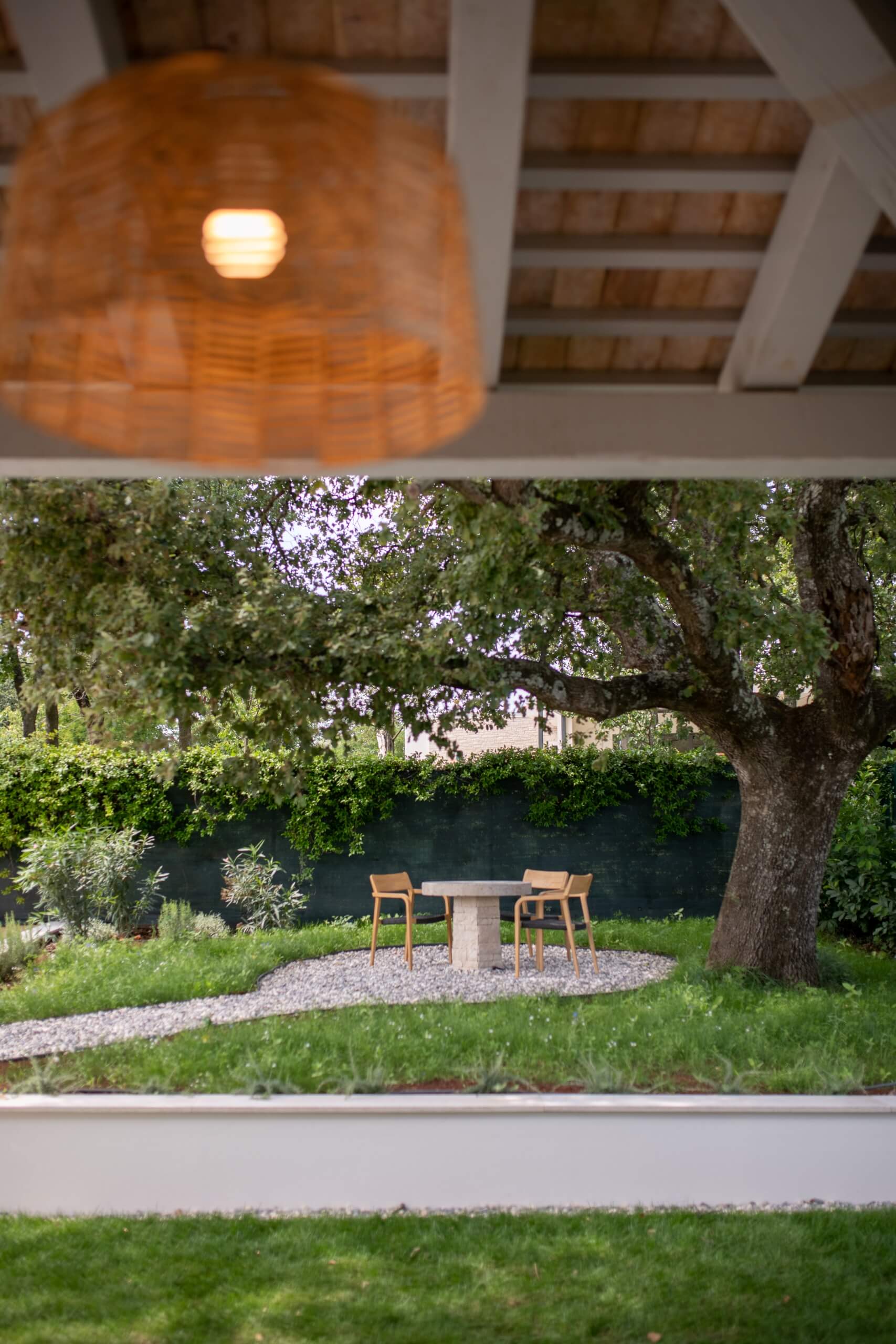 Outdoors Under Old Oak Tree