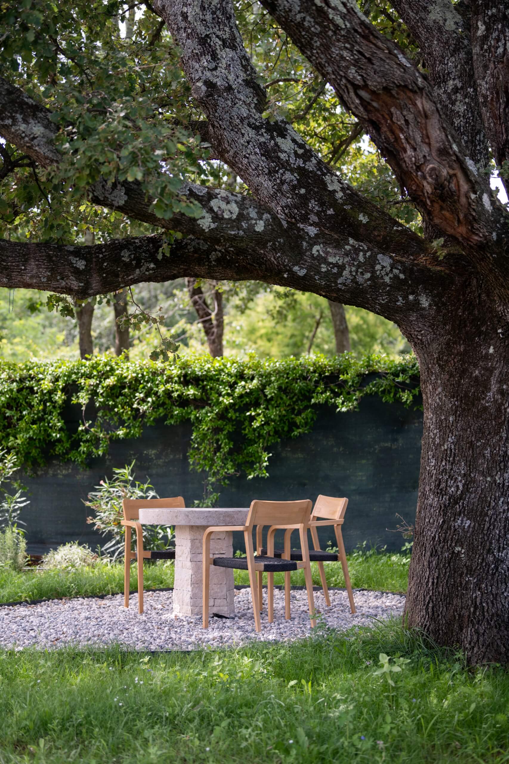 Outdoors Under Old Oak Tree